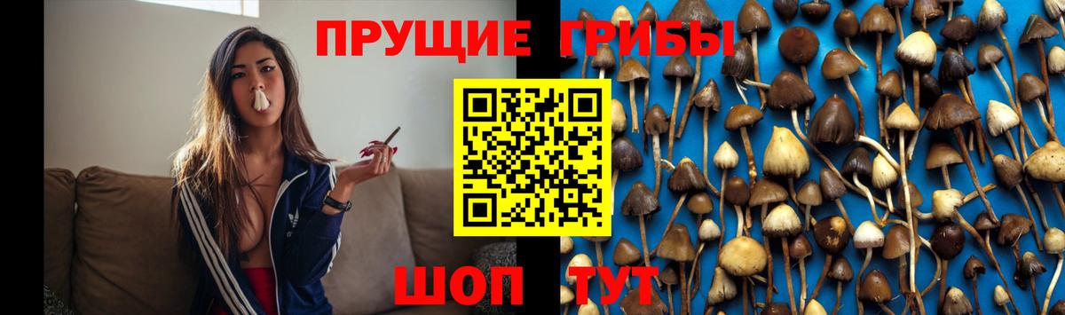 Россия  Псилоцибиновые грибы Magic Shrooms  Вход с VPN  закладка  Псилоцибиновые грибы мицелий 